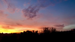 0A51B72E-69C7-4704-8F8C-5F9522875936