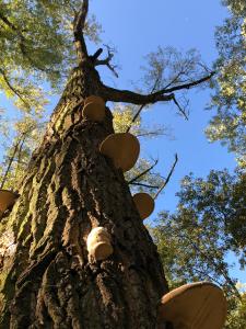 7979A67C-D62E-4103-BF89-C99A2AF98DE4