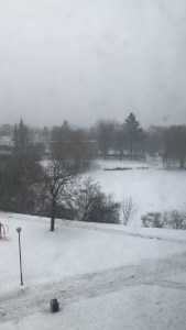 51C25D56-4DD1-4DF7-BD52-4BF38C23D2AA