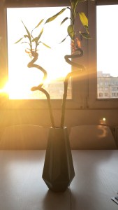 928E7C3F-99BA-4ED6-B69A-9DF3DFF7FB84